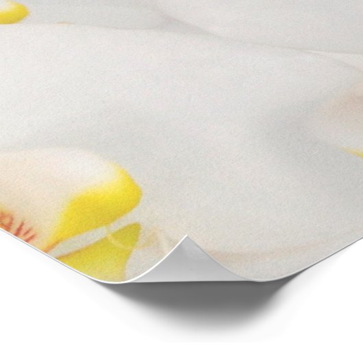 蘭の花の宴会、機能指示シンボルや象徴 ポスター (角)