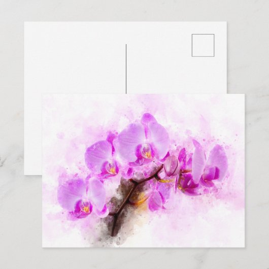 蘭の花の水色 – ピンクのweb 03 ポストカード (正面/裏面)