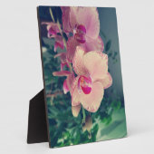 蘭の花の花のポロッカドットピンクの花のフローラ フォトプラーク (側面)