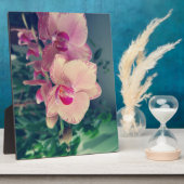 蘭の花の花のポロッカドットピンクの花のフローラ フォトプラーク (側面)