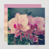 蘭の花の花のポロッカドットピンクの花のフローラ 招待状 (正面/裏面)