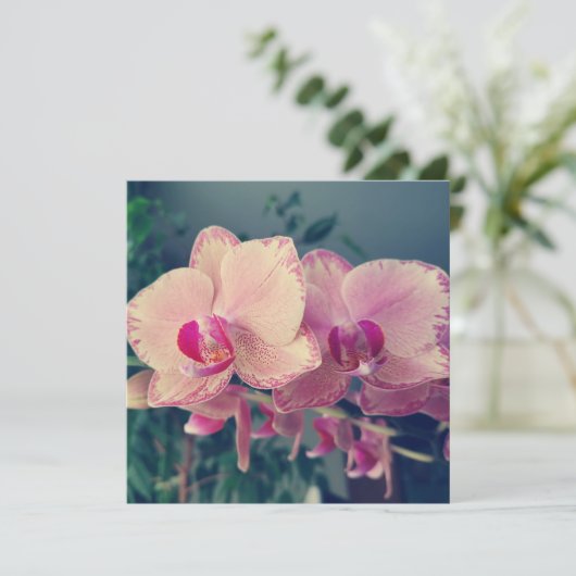 蘭の花の花のポロッカドットピンクの花のフローラ 招待状 (スタンド正面)