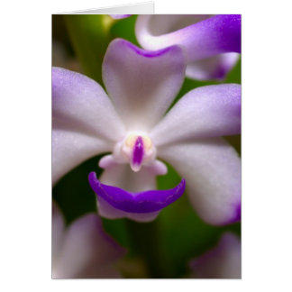 蘭の花の閉められている