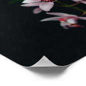 蘭の花の黒い背景 ポスター (角)