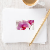 蘭の花ラベル ラベル (インサイチュ)