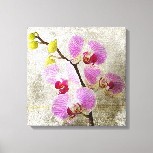蘭の花 キャンバスプリント (正面)