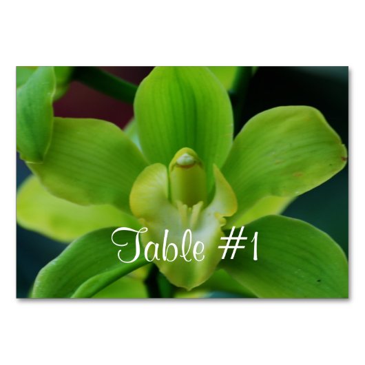 蘭の花 テーブルナンバー (正面)