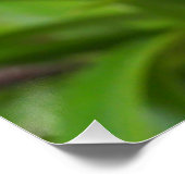 蘭の花 ポスター (コーナー)