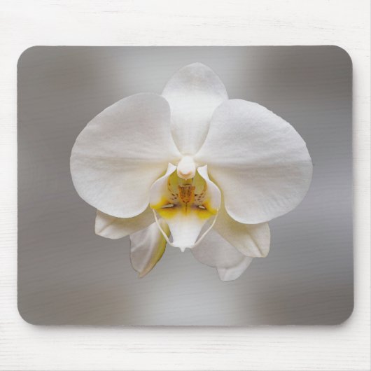 蘭の花 マウスパッド (正面)