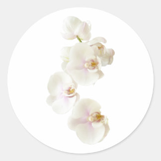 蘭の花 ラウンドシール