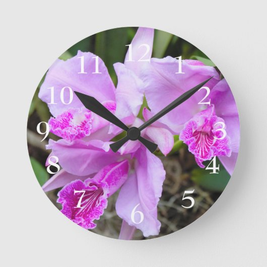 蘭の花 ラウンド壁時計 (正面)
