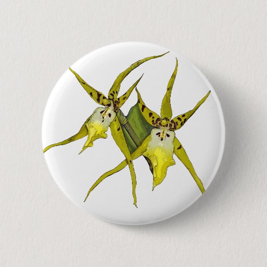 蘭の花 缶バッジ (正面)