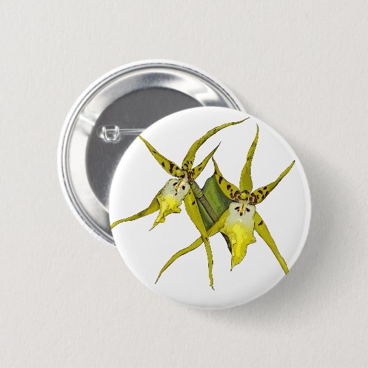 蘭の花 缶バッジ (正面&裏面)