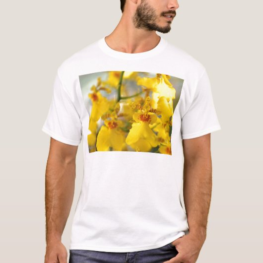 蘭の花 Tシャツ (正面)