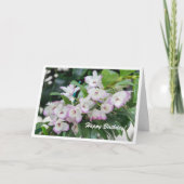 蘭の誕生日カード カード (正面)