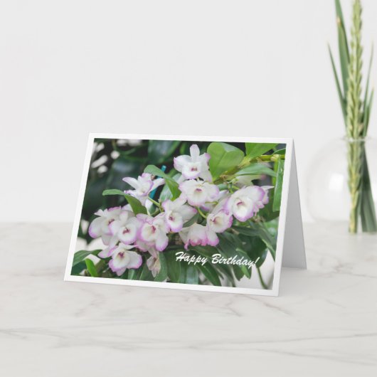 蘭の誕生日カード カード (正面)