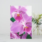 蘭の開花がピンク色で閉じる 便箋 (スタンド正面)