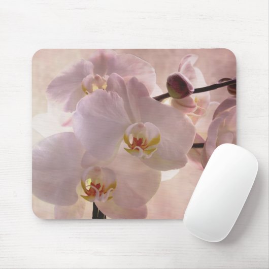 蘭のmousepad マウスパッド (マウス)