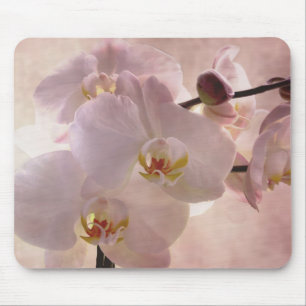 蘭のmousepad マウスパッド