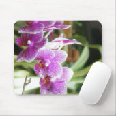 蘭のmousepad マウスパッド (マウス)