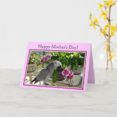 蘭を持つアフリカ灰色のオウム カード (黄色い花)