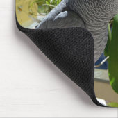 蘭を持つアフリカ灰色のオウム マウスパッド (コーナー)