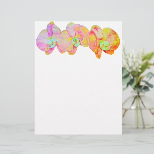 蘭カリブの蘭 (スタンド正面)