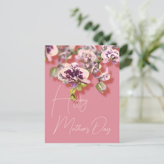 蘭フローラハッピーマザーズデイ シーズンポストカード (スタンド正面)