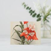 蘭ブルーミングフラワーヴィンテージ旧イラストレーション ポストカード (スタンド正面)