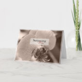 蘭愛挨拶状 カード (正面)