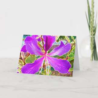 蘭木 シーズンカード