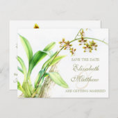 蘭絵を描花は日付カードを保存 案内ポストカード (正面/裏面)