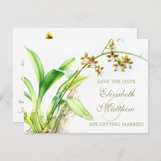 蘭絵を描花は日付カードを保存 案内ポストカード (正面/裏面)