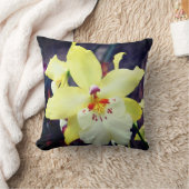 蘭花枕 クッション (ブランケット)