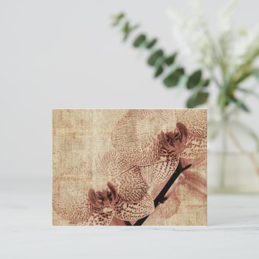 蘭葉書 ポストカード (スタンド正面)