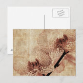 蘭葉書 ポストカード (正面/裏面)