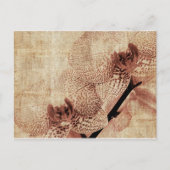 蘭葉書 ポストカード (正面)