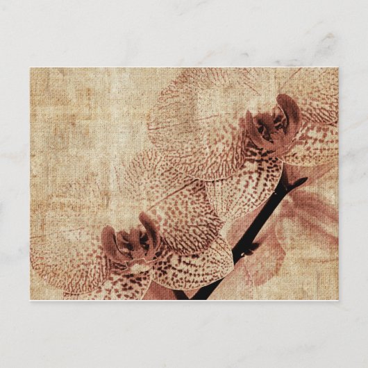 蘭葉書 ポストカード (正面)