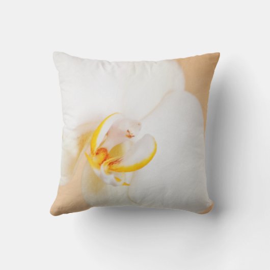 蘭8930 クッション (裏面)