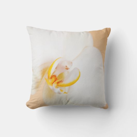 蘭8930 クッション (正面)