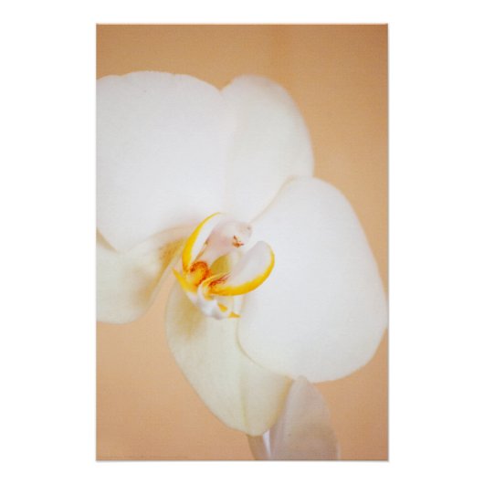 蘭8930 ポスター (正面)