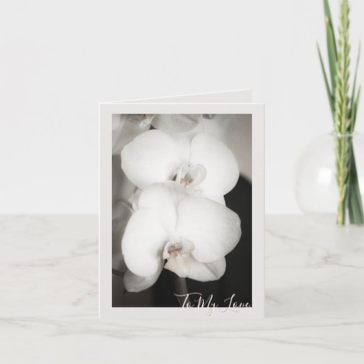 蘭8931 カード (正面)