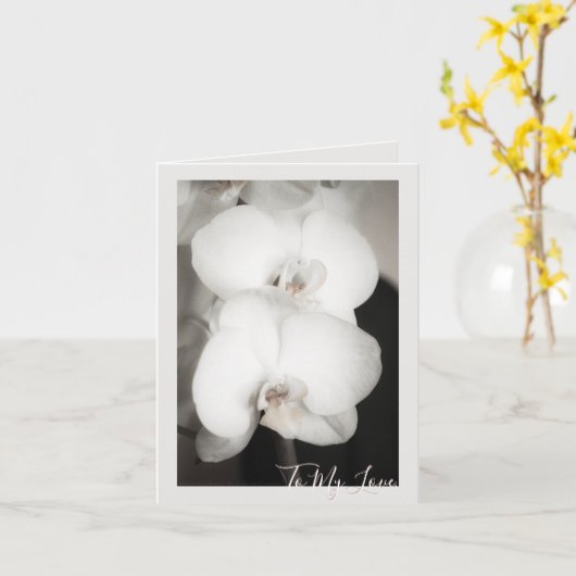 蘭8931 カード (黄色い花)