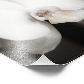 蘭8931 フォトプリント            (角)