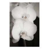 蘭8931 ポスター (正面)