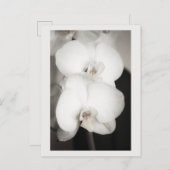 蘭8931 ポストカード (正面/裏面)