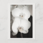 蘭8931 ポストカード (正面)