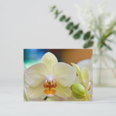 蘭・はがき ポストカード (スタンド正面)