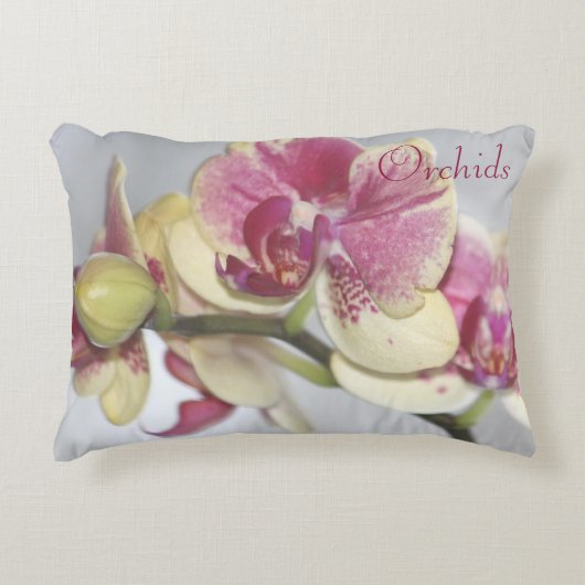 蘭 アクセントクッション (正面)