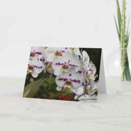 蘭、カード カード